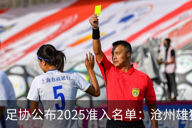 足协公布2025准入名单：沧州雄狮、广州队无缘